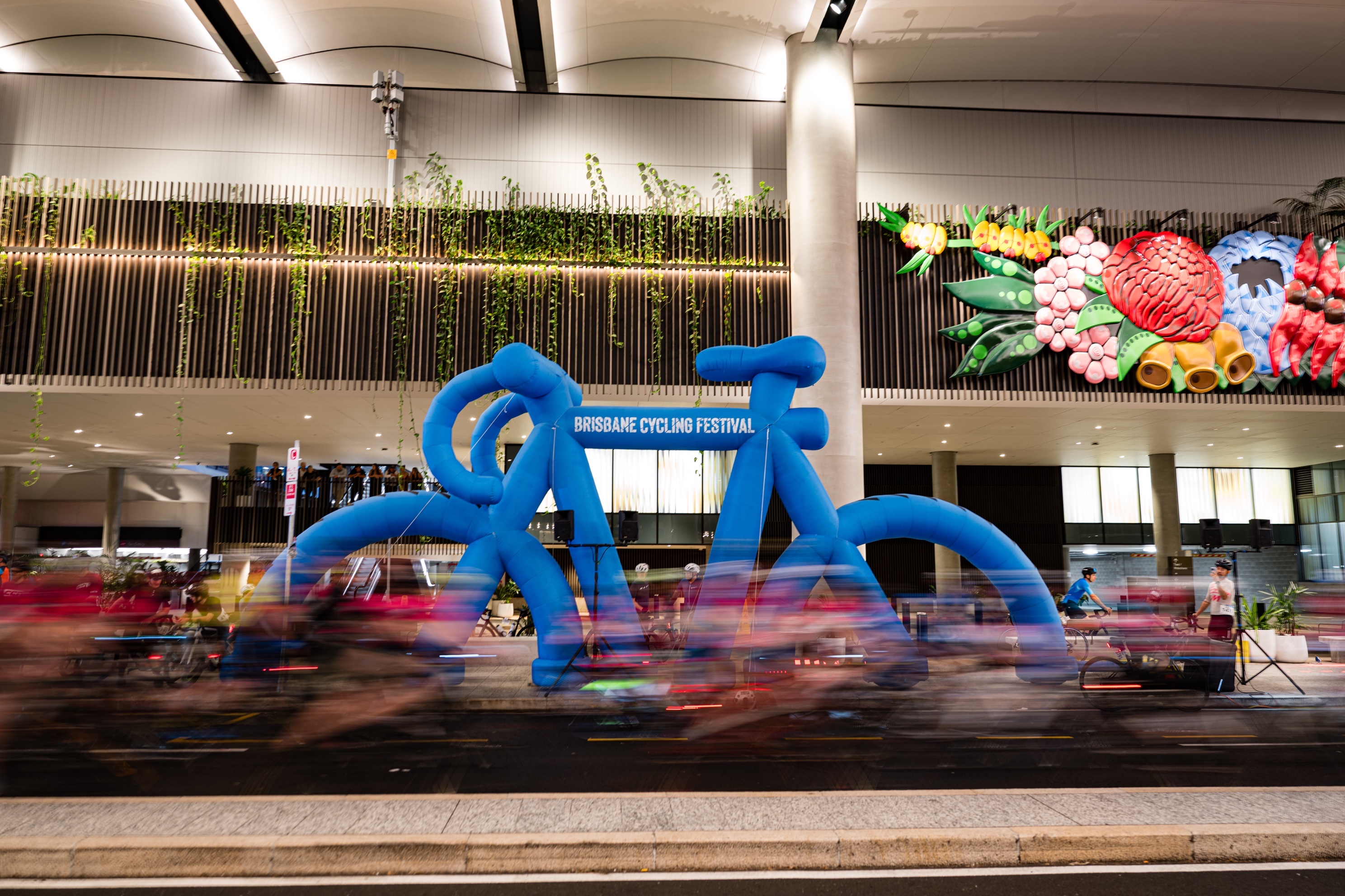 CrowdSense Powers Brisbane’s Growth as a World-Class Sporting Destination